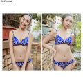 Fashion High Quality Leopard Steel Wire Ladies Panties and Underwear Set Sexy Lingerie